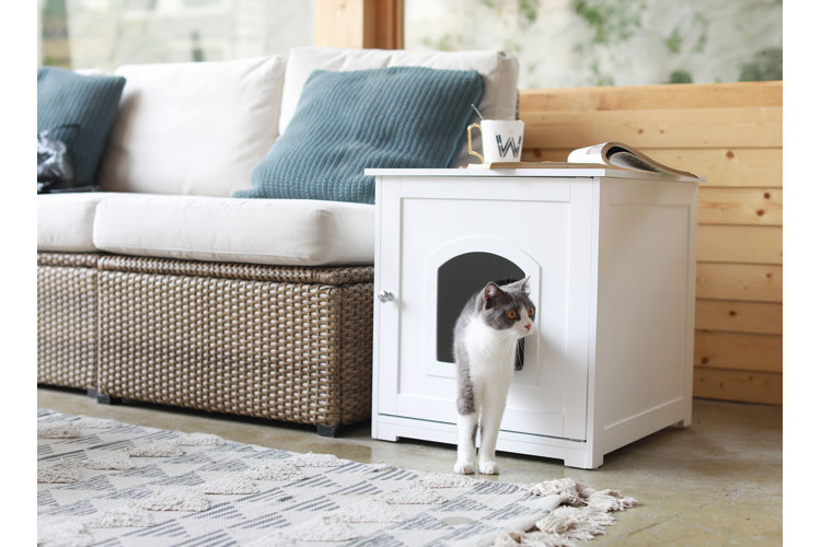 Wayfair cat outlet litter